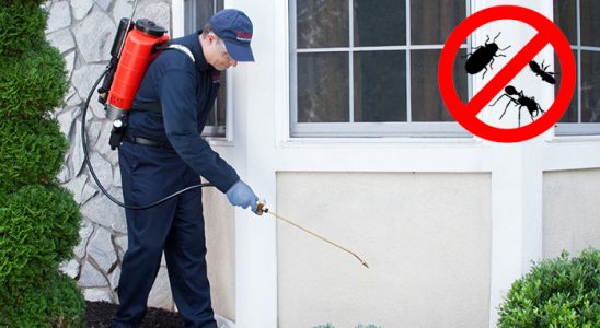 Toroslar Bit İlaçlama böcek ilaçlama ve haşere kontrolü — ilaclama-tr.com